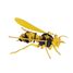 Maquette 3D en papier Frelon FRI-11602 Fridolin 4