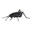Maquette 3D en papier Cricket FRI-11603 Fridolin 4