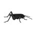 Maquette 3D en papier Cricket FRI-11603 Fridolin 3