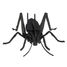 Maquette 3D en papier Cricket FRI-11603 Fridolin 2