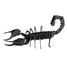 Maquette 3D en papier Scorpion FRI-11604 Fridolin 5