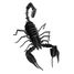 Maquette 3D en papier Scorpion FRI-11604 Fridolin 1