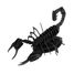 Maquette 3D en papier Scorpion FRI-11604 Fridolin 3