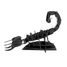 Maquette 3D en papier Scorpion FRI-11604 Fridolin 2