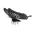 Maquette 3D en papier Papillon FRI-11607 Fridolin 1