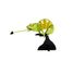 Maquette 3D en papier Caméléon vert FR-11613 Fridolin 2