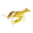 Maquette 3D en papier Homard FR-11629 Fridolin 1