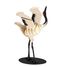 Maquette 3D en papier Grue Blanche FRI-11656 Fridolin 1