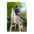 Cheval de bois à monter LE11664 Small Foot company 3