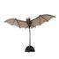 Maquette 3D en papier Chauve-souris FR-11673 Fridolin 1