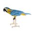 Maquette 3D en papier Perroquet FRI-11677 Fridolin 1