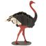 Maquette 3D en papier Autruche FRI-11680 Fridolin 1