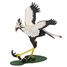 Maquette 3D en papier Serpentaire FRI-11751 Fridolin 1