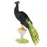 Maquette 3D en papier Paon FRI-11754 Fridolin 1