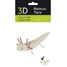 Maquette 3D en papier Axolotl FR-11755 Fridolin 2