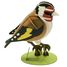 Maquette 3D en papier chardonneret elegant FRI-11765 Fridolin 1