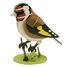 Maquette 3D en papier chardonneret elegant FRI-11765 Fridolin 2