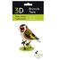 Maquette 3D en papier chardonneret elegant FRI-11765 Fridolin 3