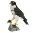 Maquette 3D en papier faucon FRI-11766 Fridolin 1