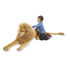 Peluche géante Lion MD12102 Melissa & Doug 2