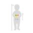 Maracas Groovy Beats LE12251 Small foot company 5