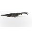 Figurine Nothosaurus SC-15031 Schleich 3