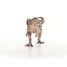 Figurine Carcharodontosaurus SC-15048 Schleich 6