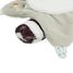 Doudou raton laveur Gaston K205001 Kaloo 7