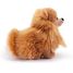 Peluche Chien Poméranien 22 cm TRU-22347 Trudi 2