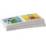 Jeu de domino T'choupi RA-24311 Small foot company 6