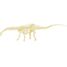 Kit Paleo - Diplodocus UL2824 Ulysse 4