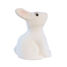 Tirelire Lapin blanc EG314705 Egmont Toys 2