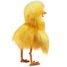 Marionnette à main Oiseau jaune FO-3172 Folkmanis 3