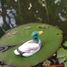 Figurine canard colvert WU-40602 Wudimals 2