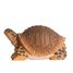 Figurine Tortue WU-40704 Wudimals 1