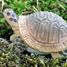 Figurine Tortue WU-40704 Wudimals 2