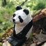 Figurine Panda WU-40705 Wudimals 2