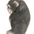 Figurine Chimpanzé WU-40722 Wudimals 1