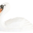 Figurine Cygne WU-41006 Wudimals 1