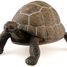 Figurine Tortue PA50013-2906 Papo 3