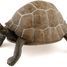 Figurine Tortue PA50013-2906 Papo 2