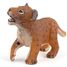 Figurine Lionceau PA-50022 Papo 4