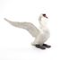 Figurine cygne blanc PA-50115 Papo 2