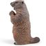 Figurine Marmotte PA50128-2927 Papo 5