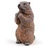 Figurine Marmotte PA50128-2927 Papo 6