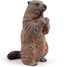Figurine Marmotte PA50128-2927 Papo 3