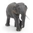Figurine Eléphant d'Asie PA50131-2928 Papo 4