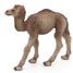 Figurine Bébé dromadaire PA50166-5276 Papo 4