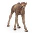 Figurine Bébé dromadaire PA50166-5276 Papo 3