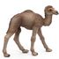 Figurine Bébé dromadaire PA50166-5276 Papo 1